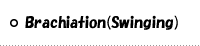 Brachiation(swinging)